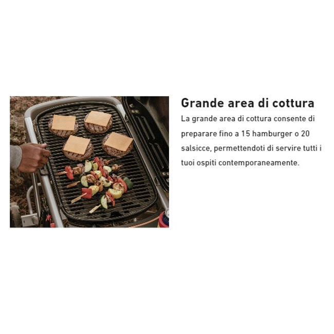 Vendita online Barbecue Traveler Black a gas